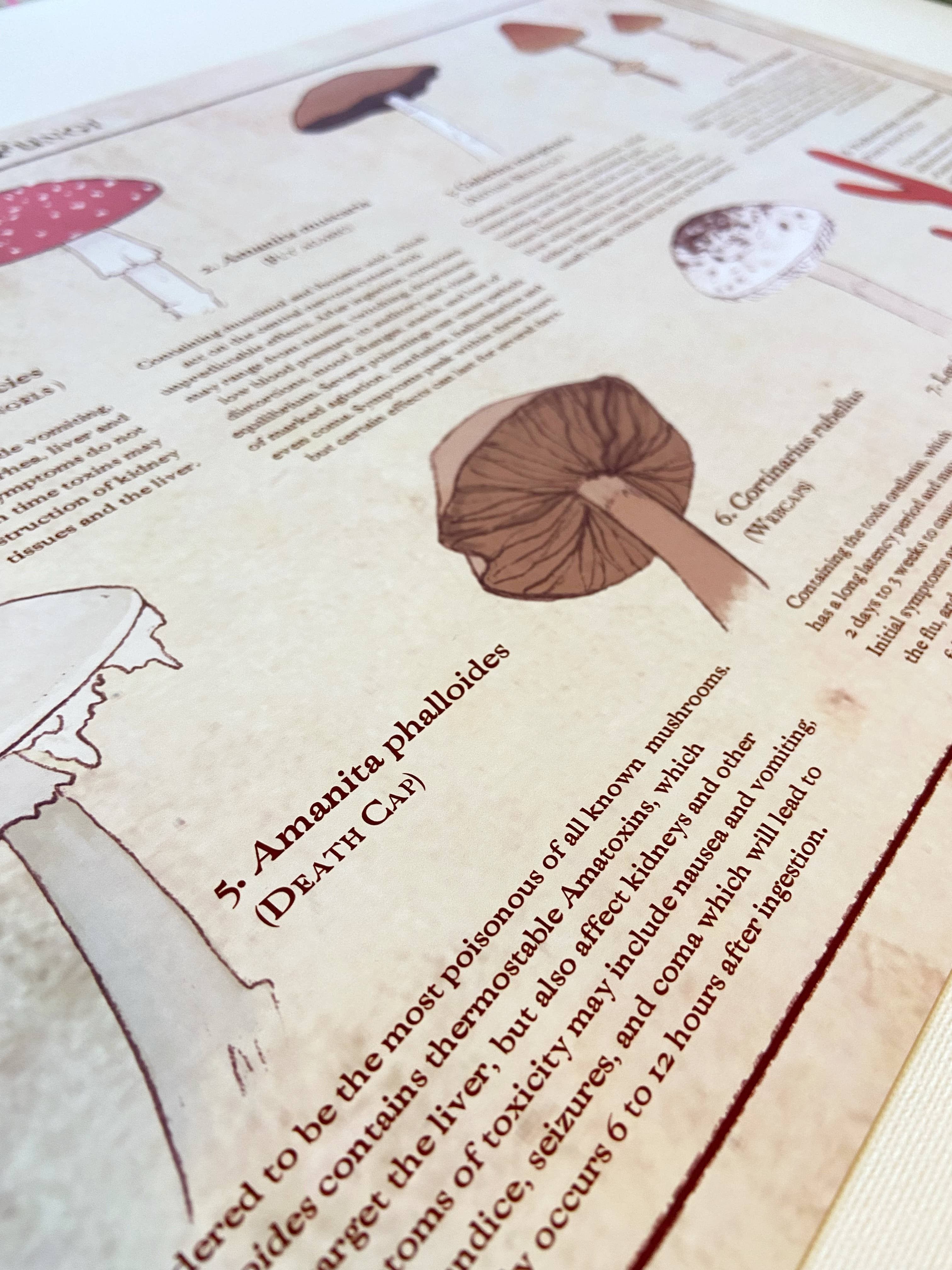 Varieties of Murderous Fungi
