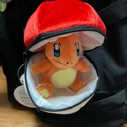 Pokemon Poké Ball Plush Pouch + Random Keychain SET