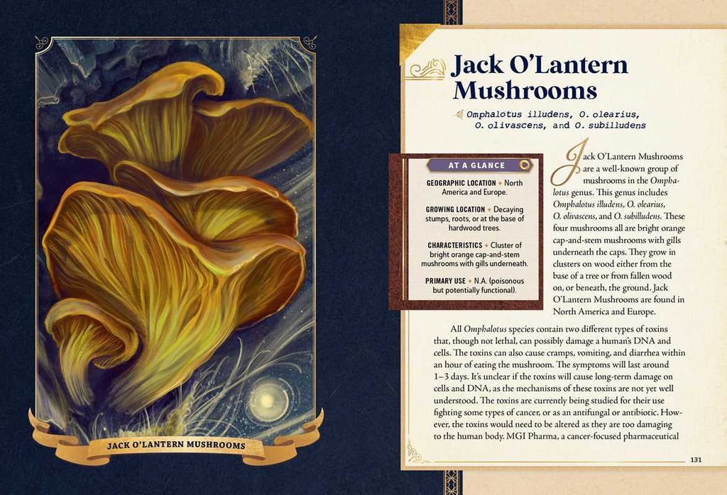 Little Book of Mushrooms by Alex Dorr