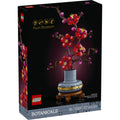 Plum Blossom Flower