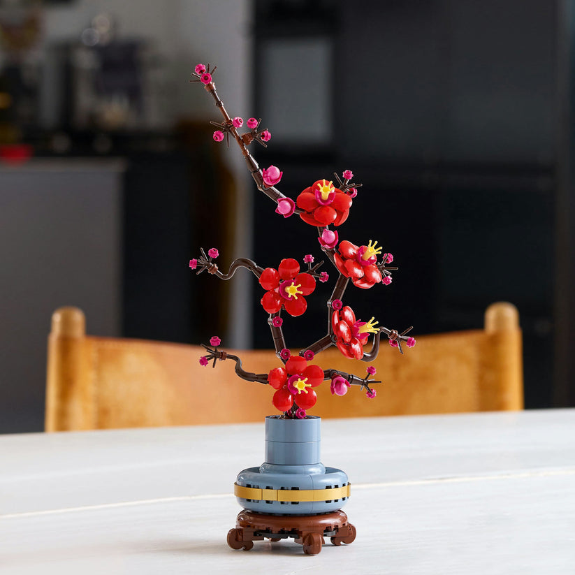 Plum Blossom Flower