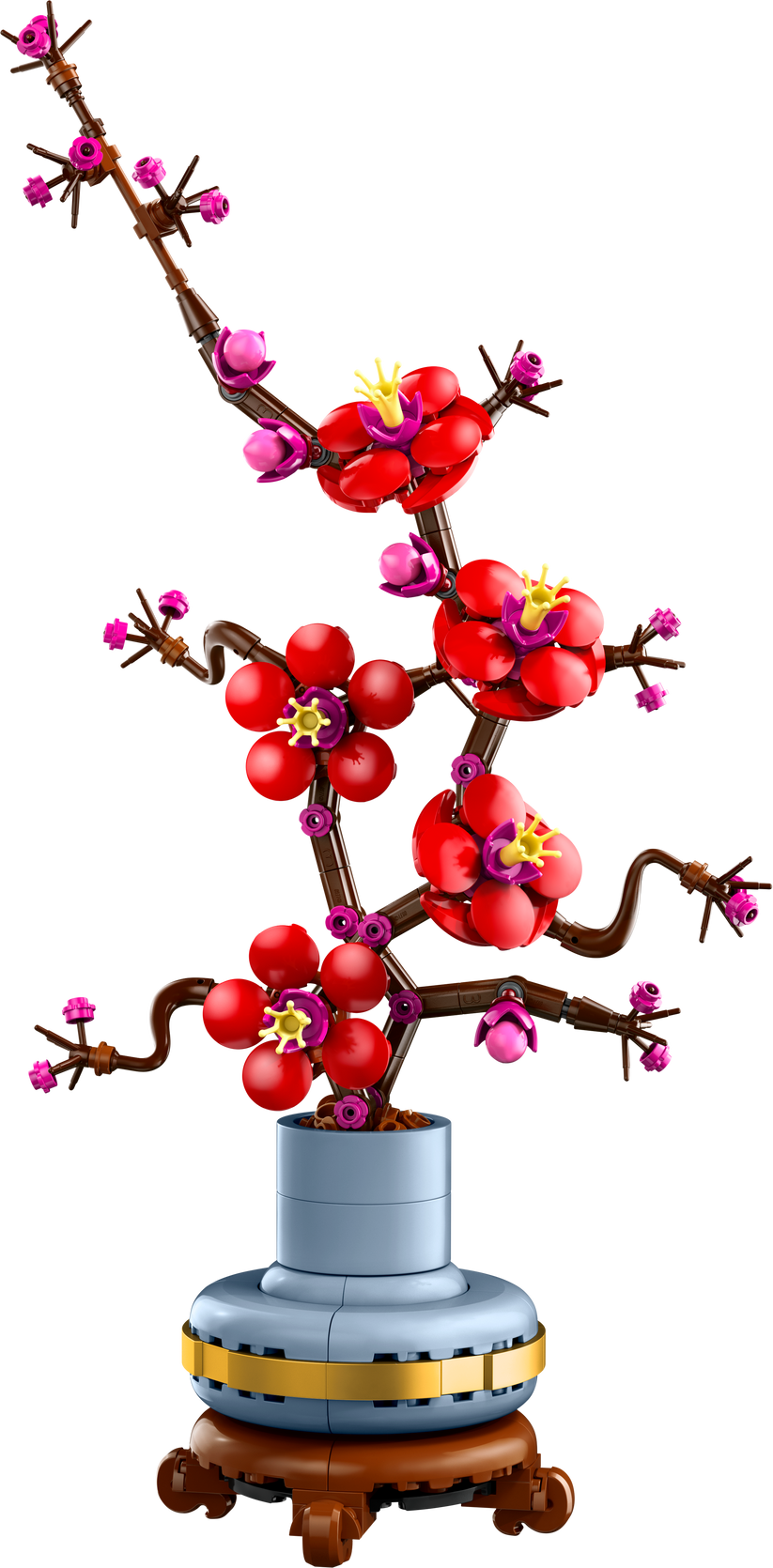 Plum Blossom Flower