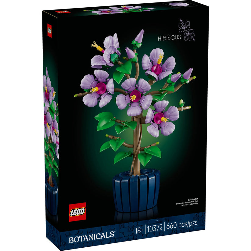 Hibiscus