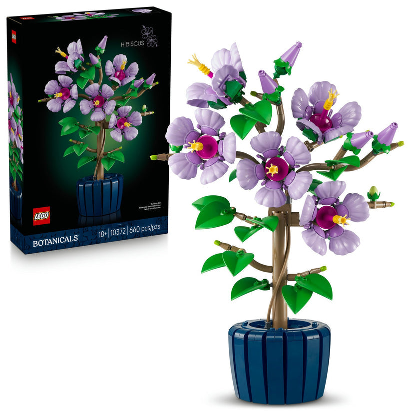 Hibiscus