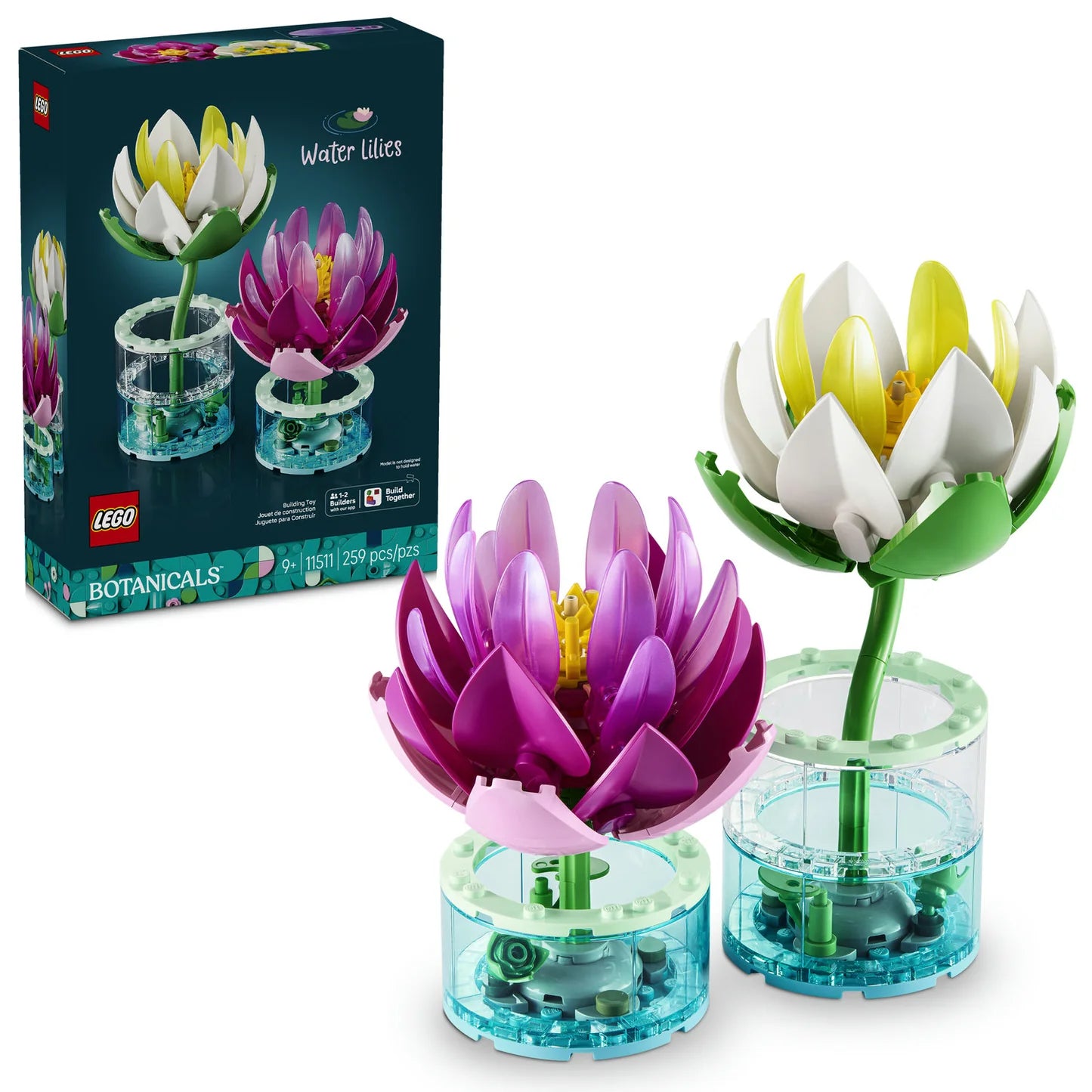 Water Lilies