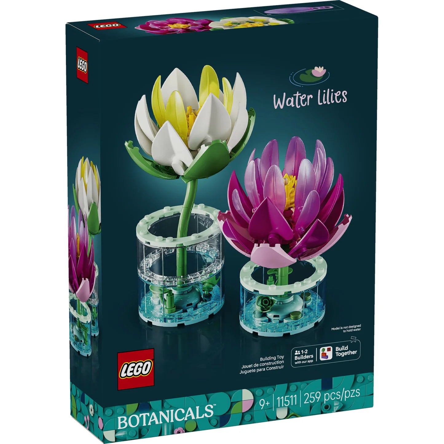 Water Lilies