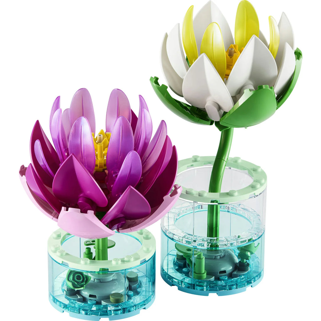 Water Lilies