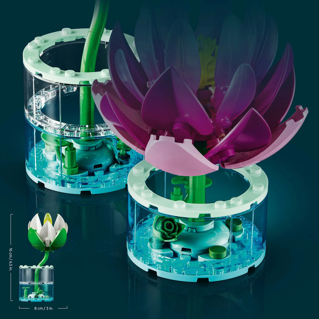 Water Lilies