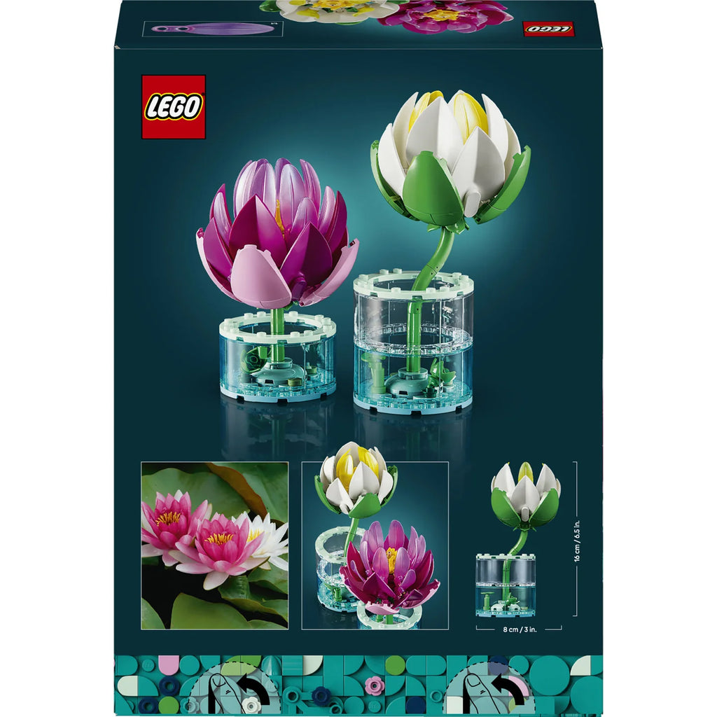 Water Lilies