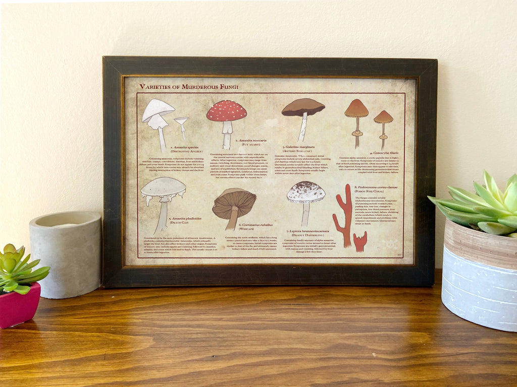 Varieties of Murderous Fungi
