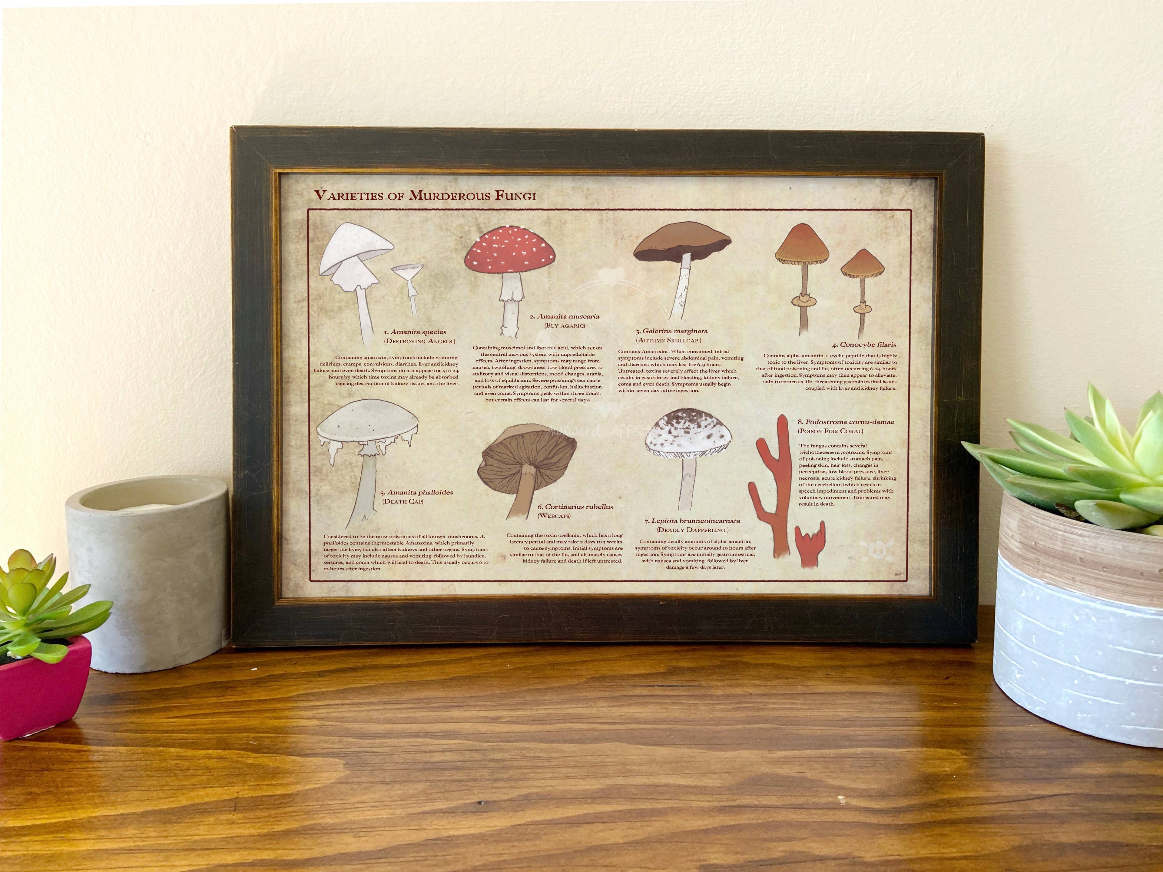 Varieties of Murderous Fungi