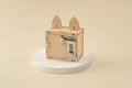 Combination Lock Box and Phone Holder DIY Kit, STEM Toy