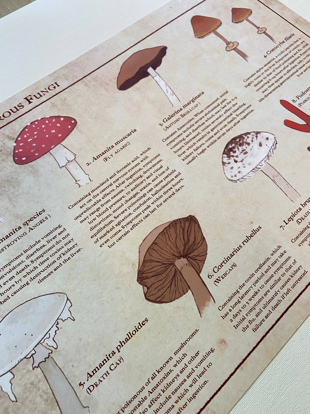 Varieties of Murderous Fungi