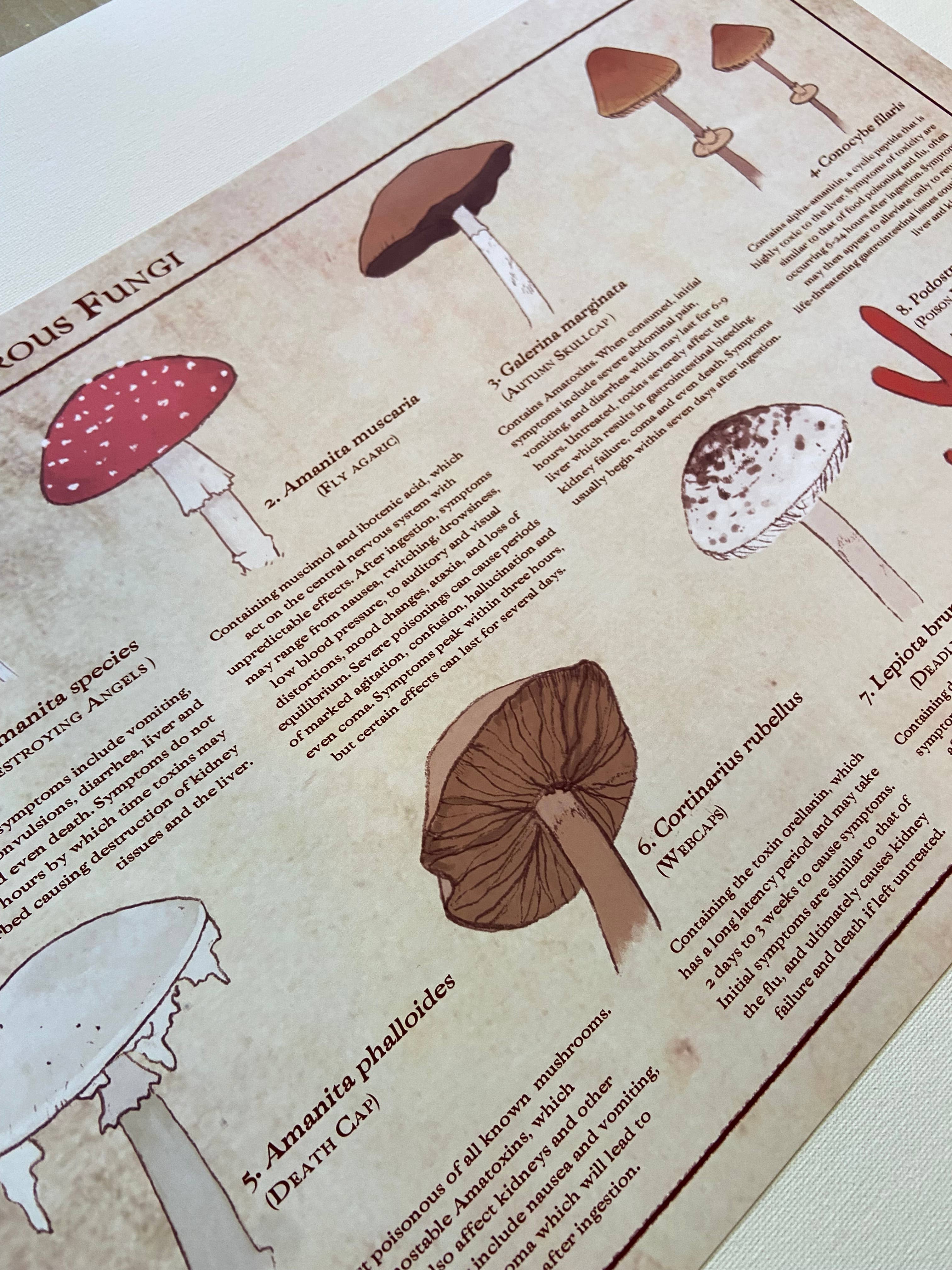 Varieties of Murderous Fungi