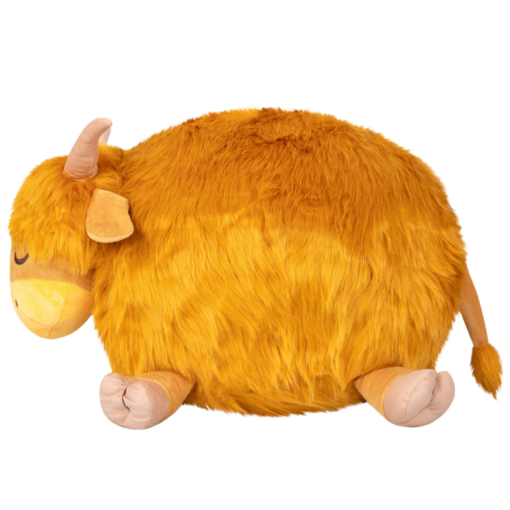 Highland Cow