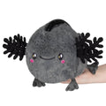 Baby Axolotl