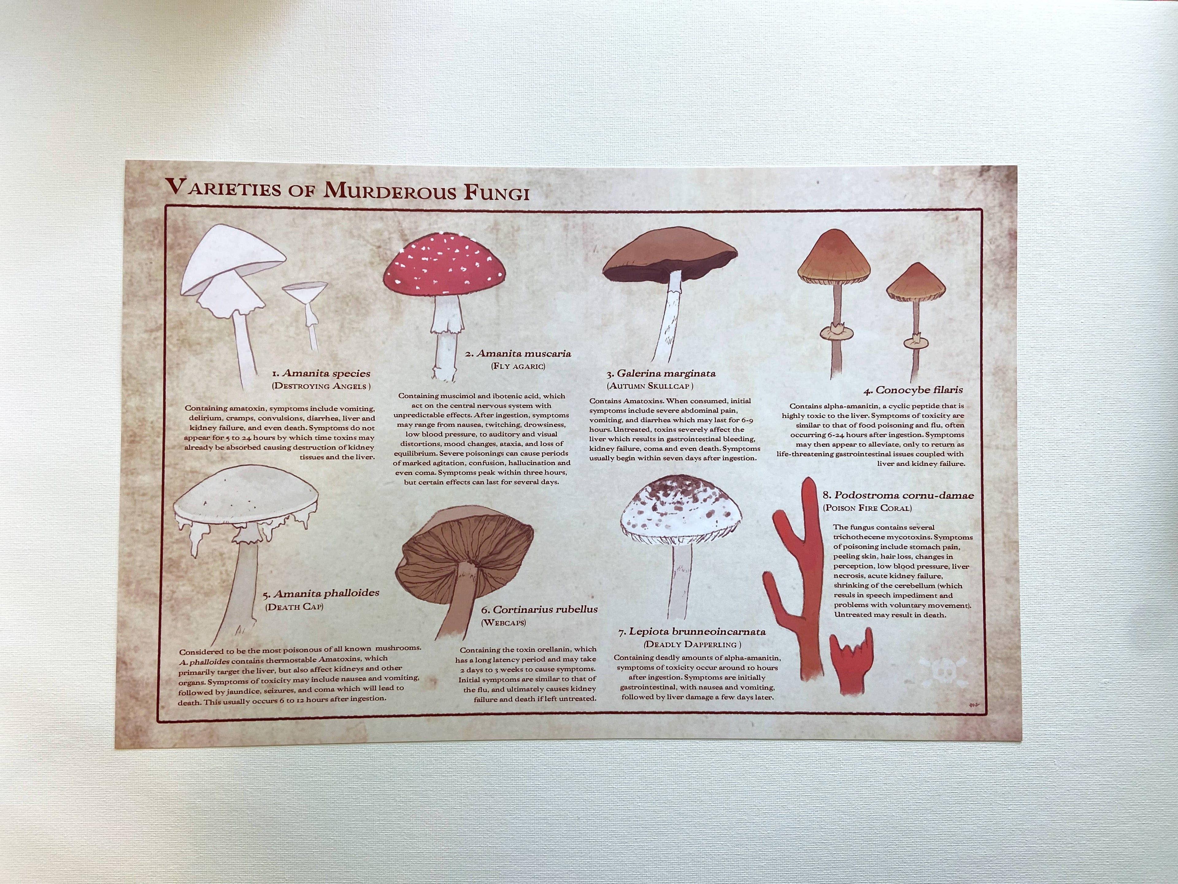 Varieties of Murderous Fungi
