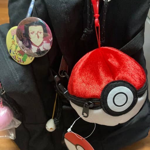 Pokemon Poké Ball Plush Pouch + Random Keychain SET