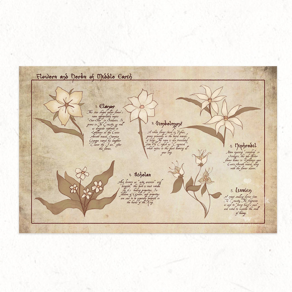 Flowers Of Middle Earth Art Print