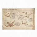 Flowers Of Middle Earth Art Print