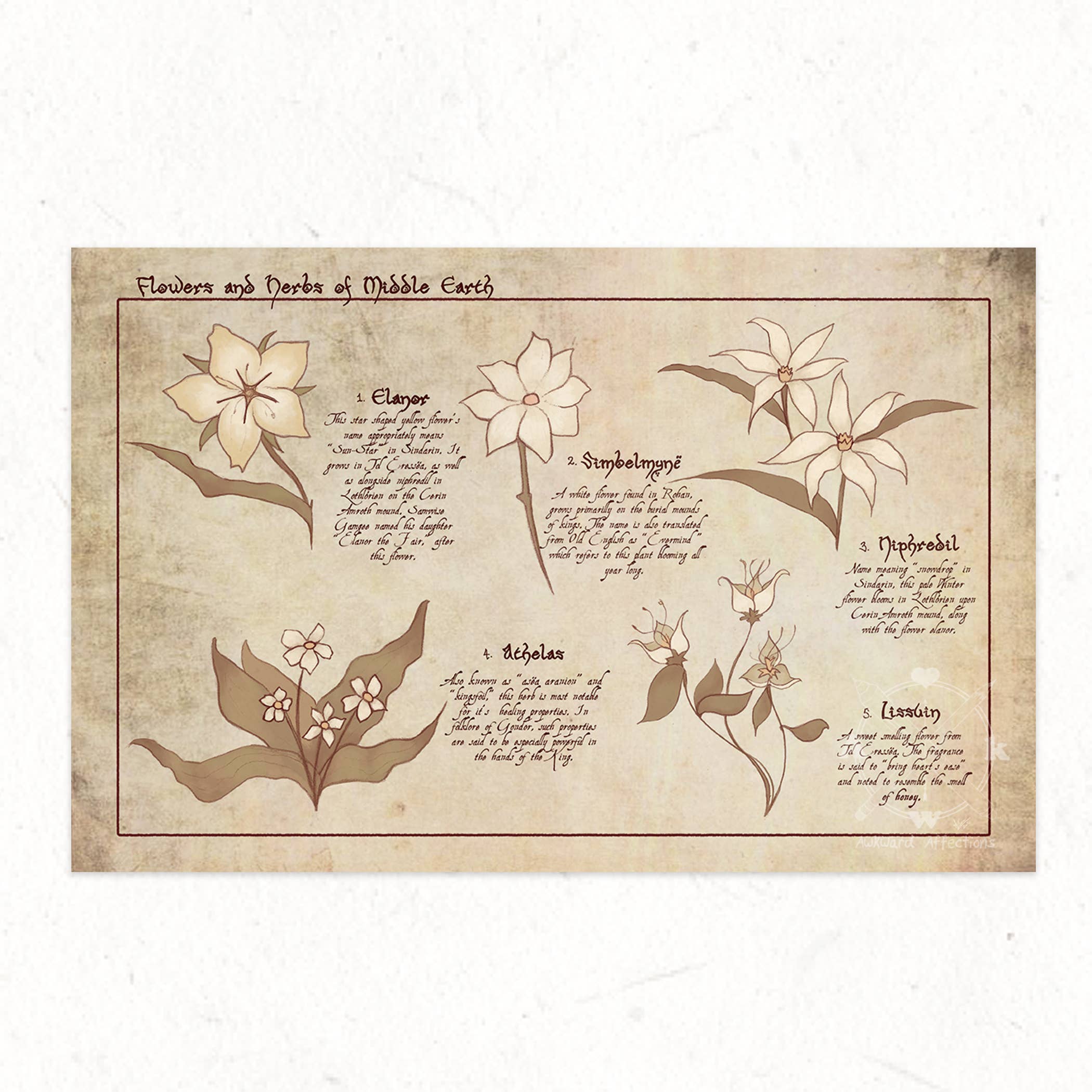 Flowers Of Middle Earth Art Print