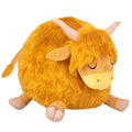 Highland Cow