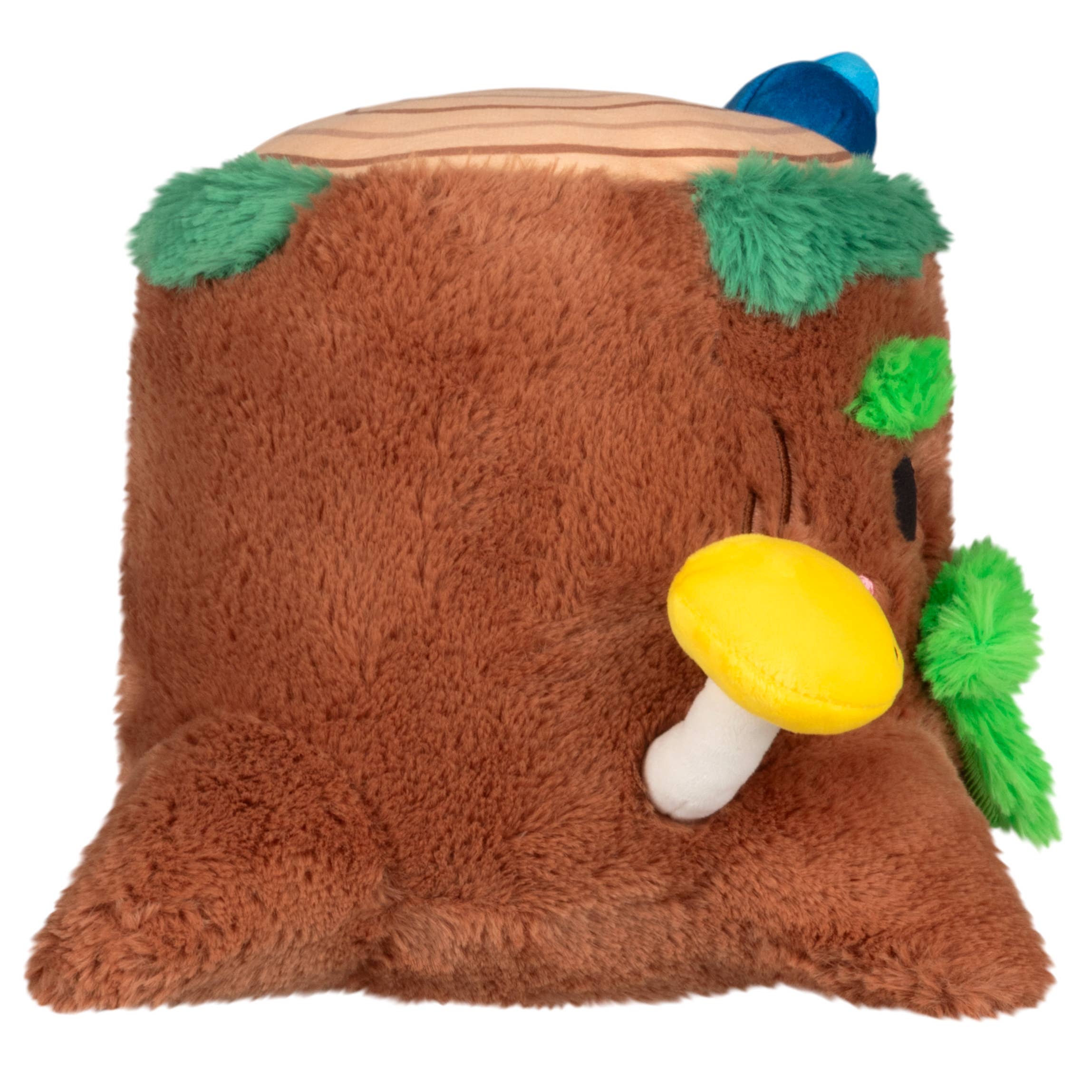 Tree Stump