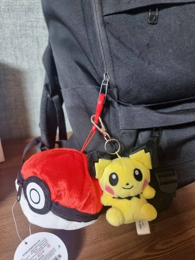 Pokemon Poké Ball Plush Pouch + Random Keychain SET