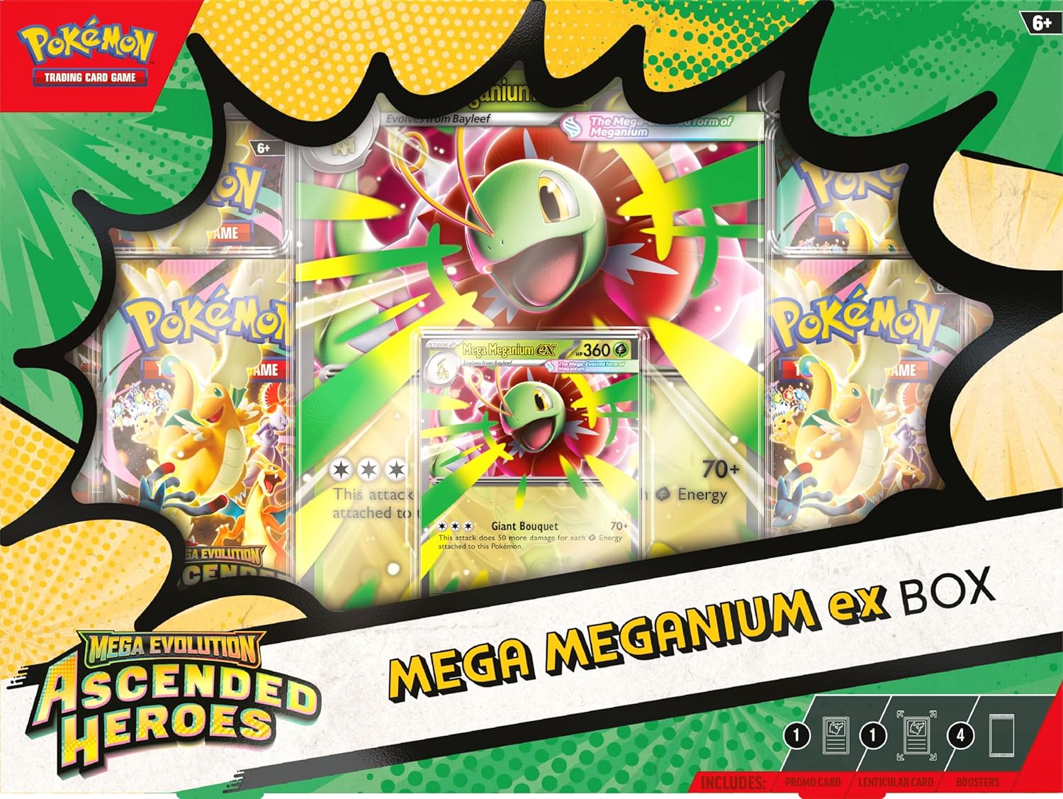 Pokemon TCG: Mega Evoltions 02.5 Ascended Heroes ex Box Case