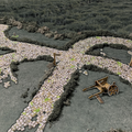 Roads and Rivers (Battle Systems)