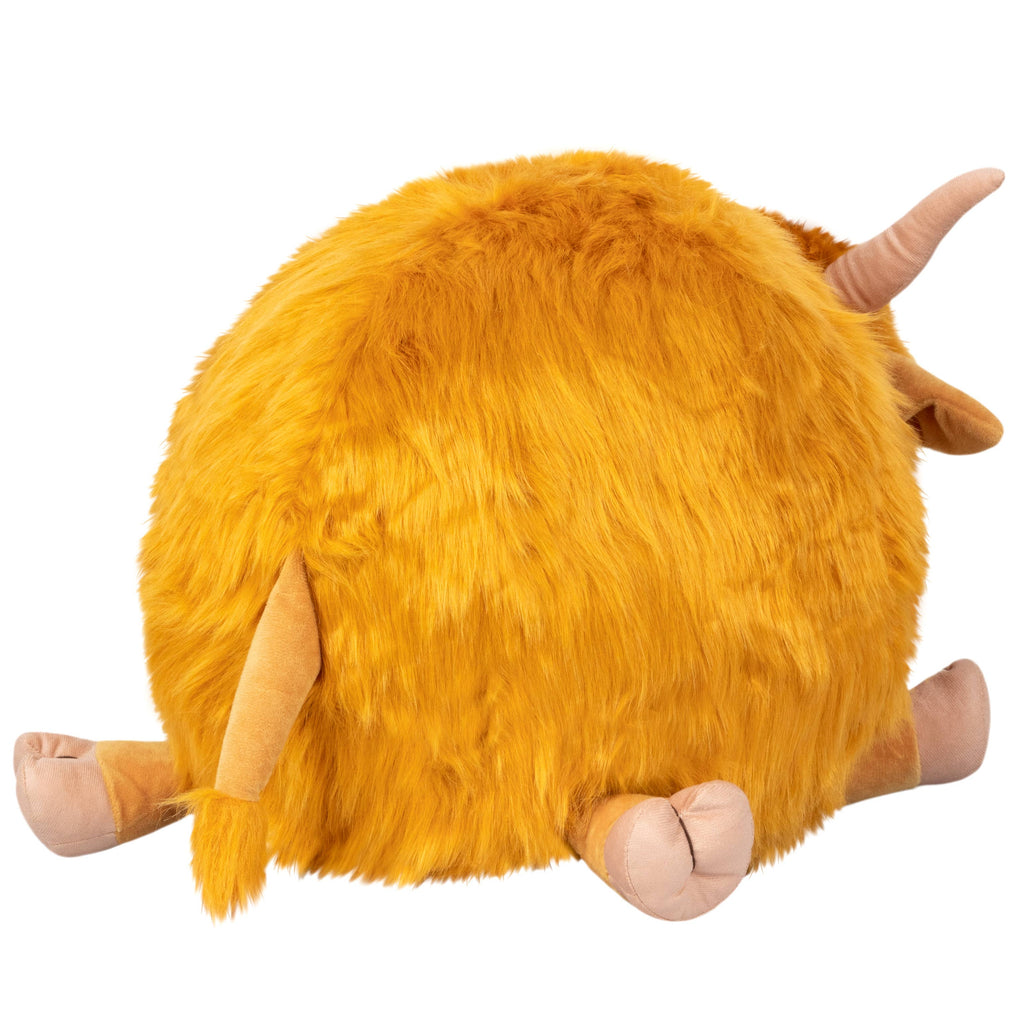 Highland Cow