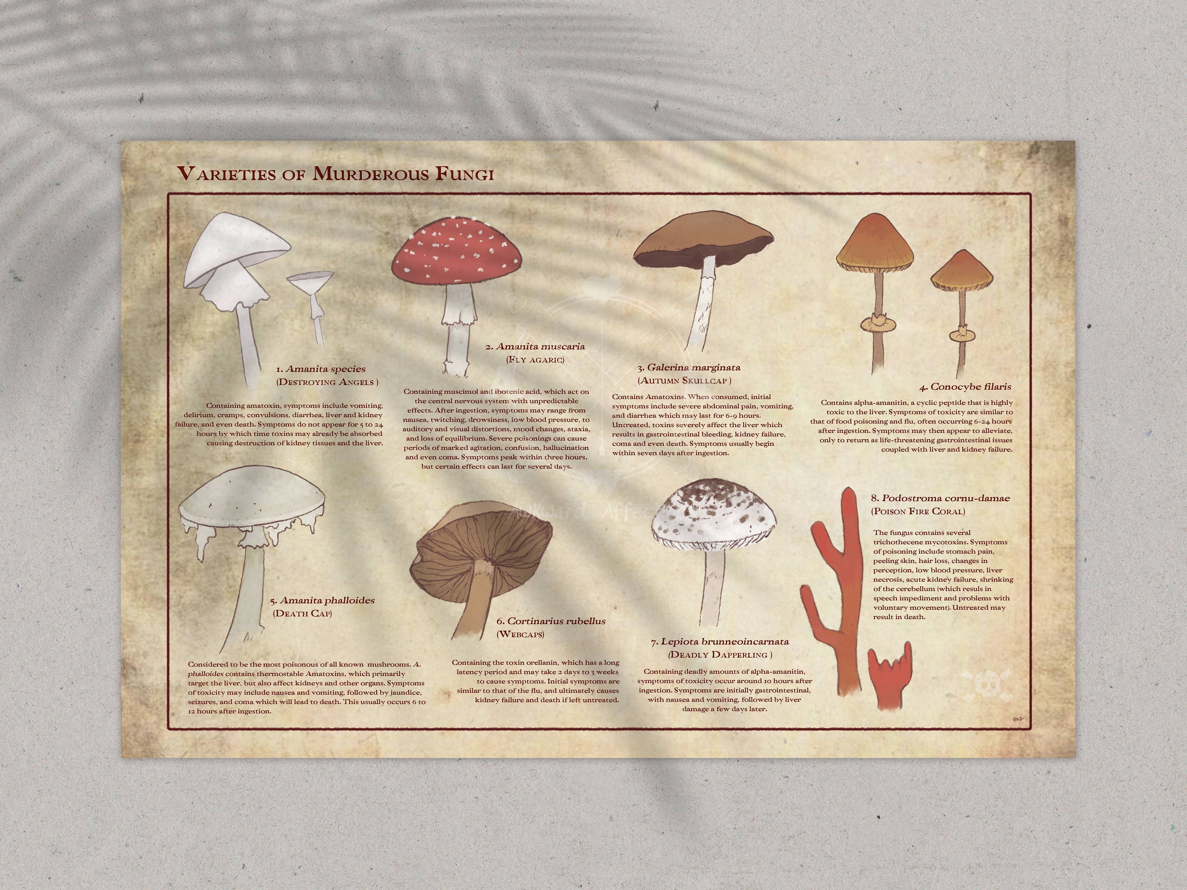 Varieties of Murderous Fungi