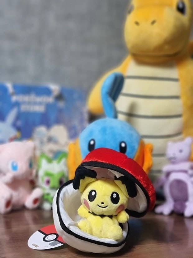 Pokemon Poké Ball Plush Pouch + Random Keychain SET