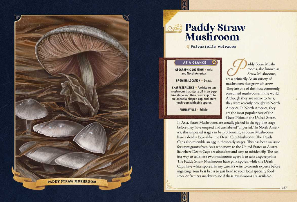Little Book of Mushrooms by Alex Dorr