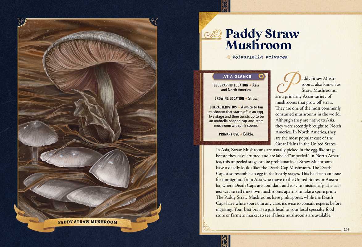 Little Book of Mushrooms by Alex Dorr