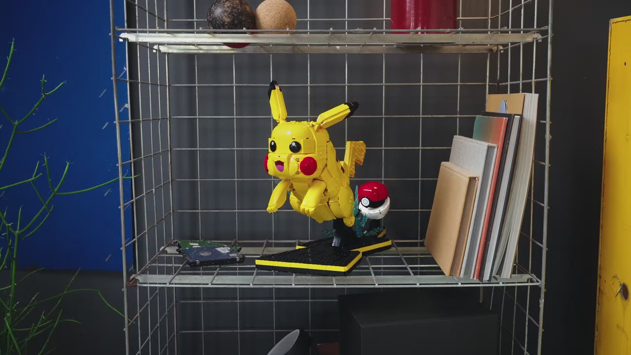 Pikachu and Poké Ball