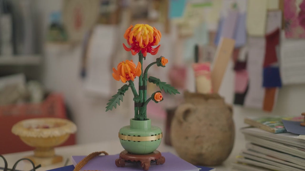 Chrysanthemum Flower